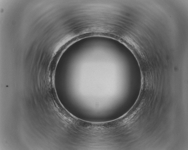 X0000086891070200704231122