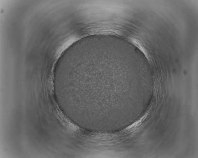 X0000086891071200704231122