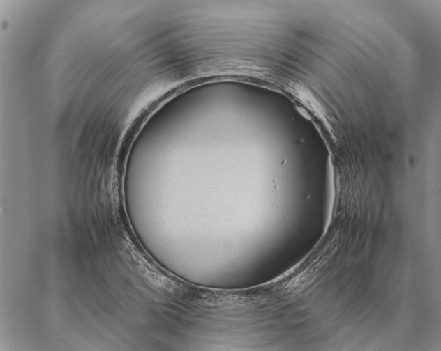 X0000086891072200704231122