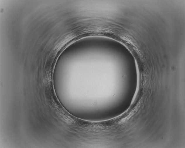 X0000086891073200704231122