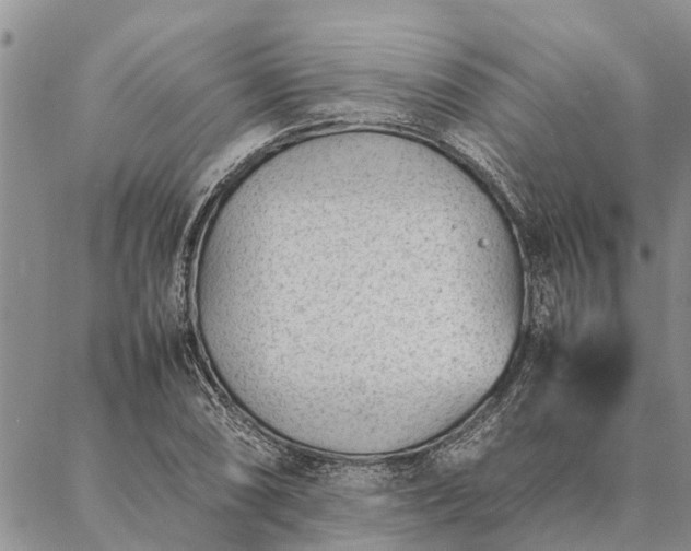 X0000086891074200704231122