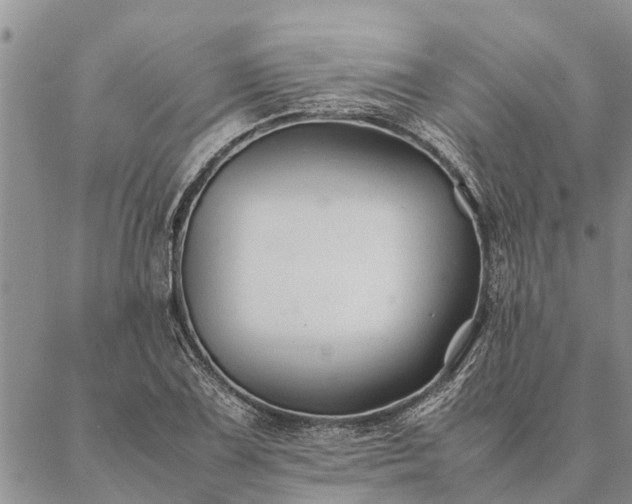 X0000086891075200704231122