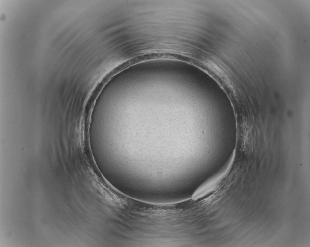 X0000086891076200704231122