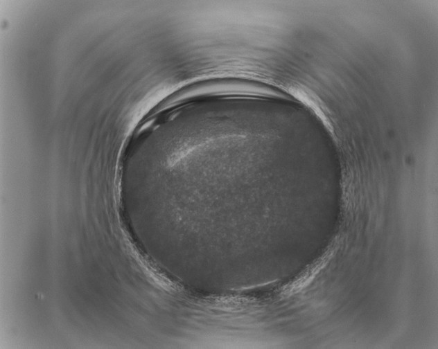 X0000086891077200704231122