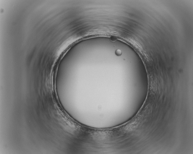 X0000086891078200704231122