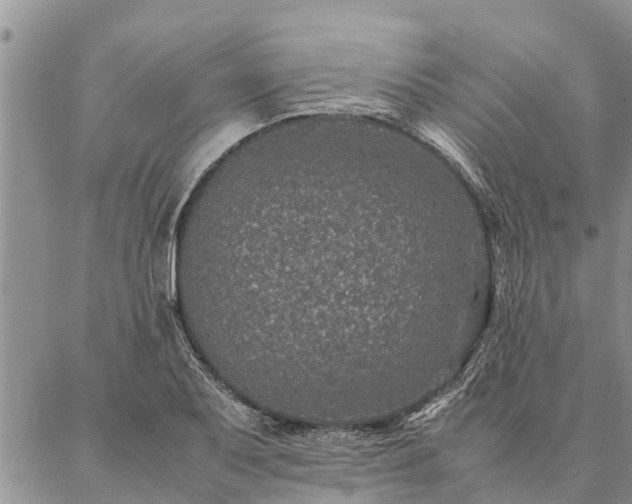 X0000086891079200704231122