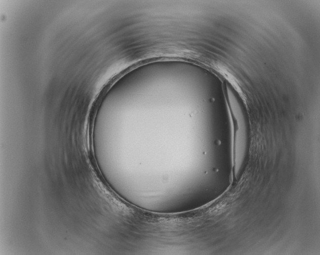 X0000086891080200704231122