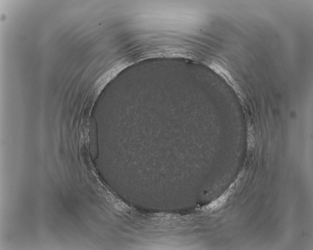 X0000086891081200704231122