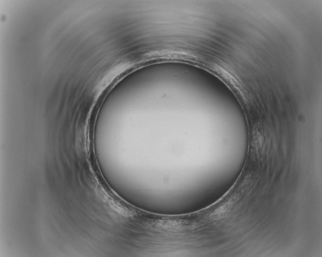 X0000086891082200704231122