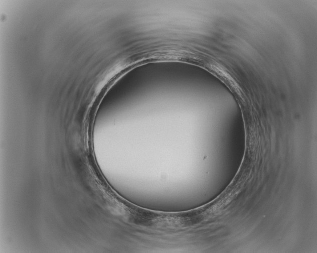 X0000086891083200704231122