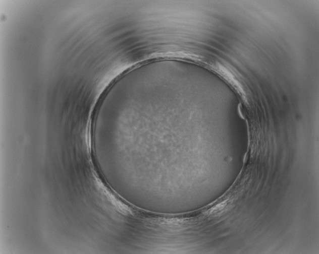 X0000086891084200704231122