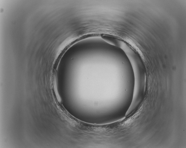 X0000086891085200704231122