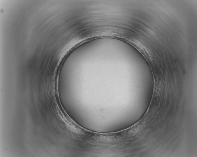 X0000086891086200704231122