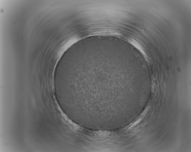 X0000086891087200704231122