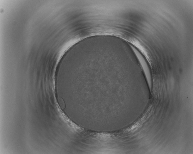 X0000086891088200704231122