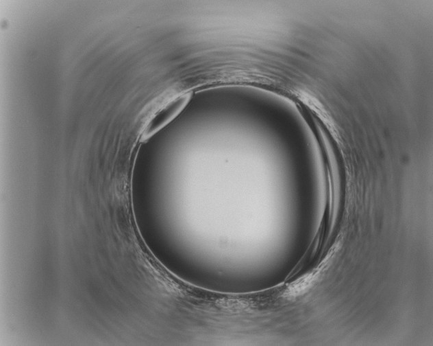 X0000086891089200704231122