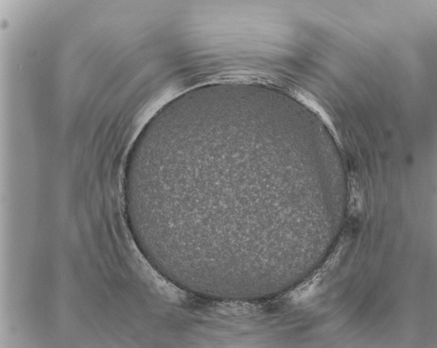 X0000086891091200704231122