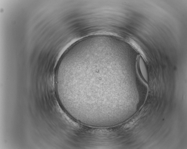 X0000086891092200704231122