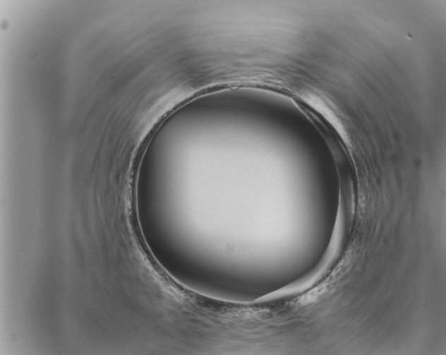 X0000086891093200704231122