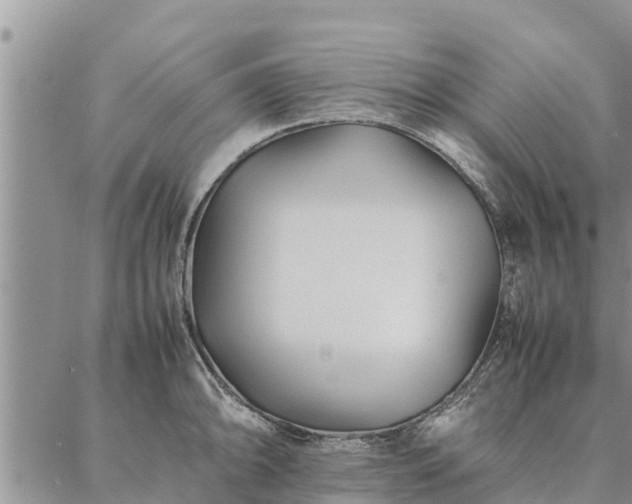 X0000086891094200704231122