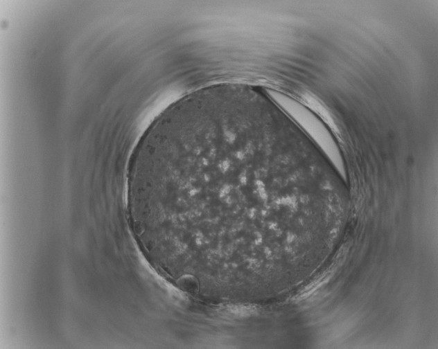 X0000086891095200704231122