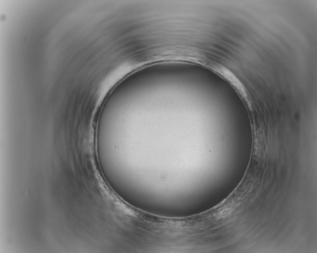 X0000086891096200704231122