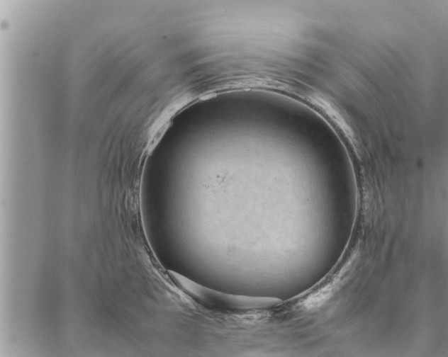 X0000086891097200704231122