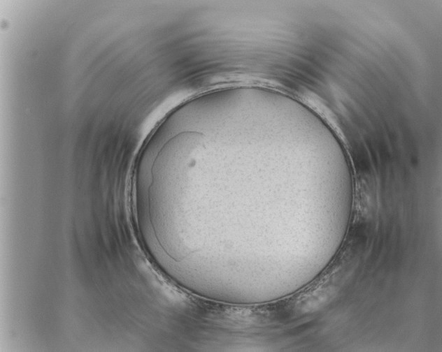 X0000086891098200704231122