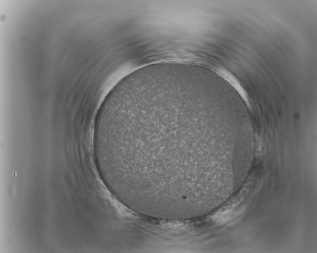 X0000086891099200704231122