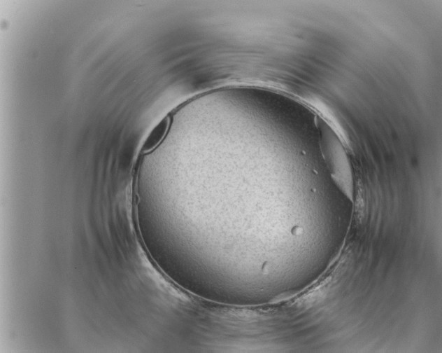 X0000086891100200704231122