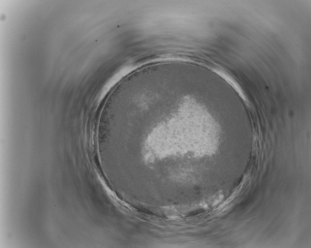 X0000086891101200704231122