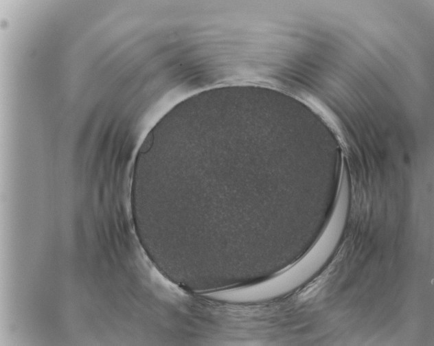 X0000086891102200704231122