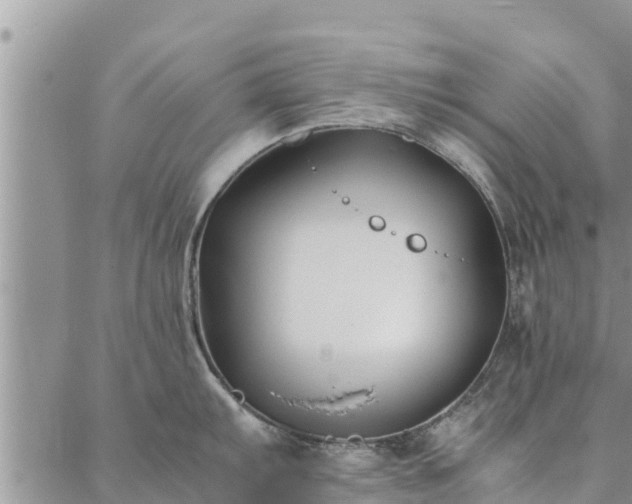 X0000086891103200704231122