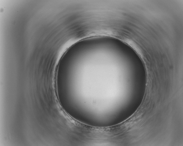 X0000086891104200704231122