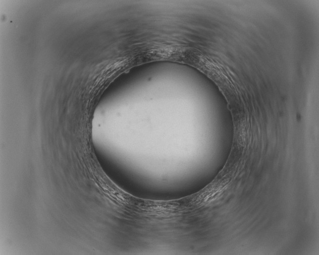 X0000086891105200704231121