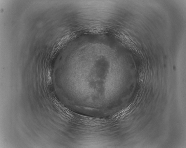 X0000086891106200704231121