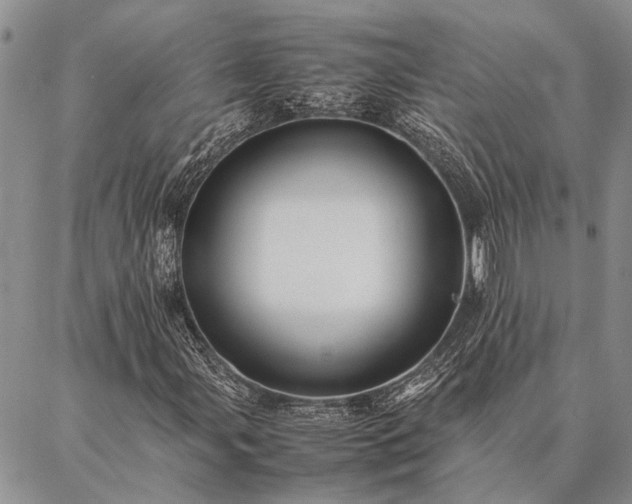 X0000086891107200704231121