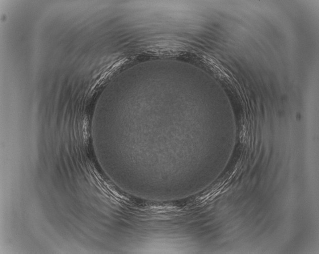 X0000086891108200704231121