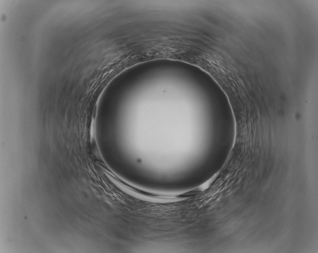 X0000086891109200704231121