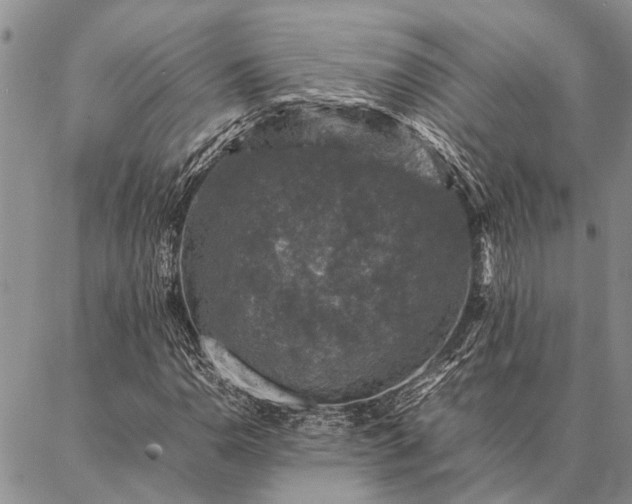 X0000086891110200704231121