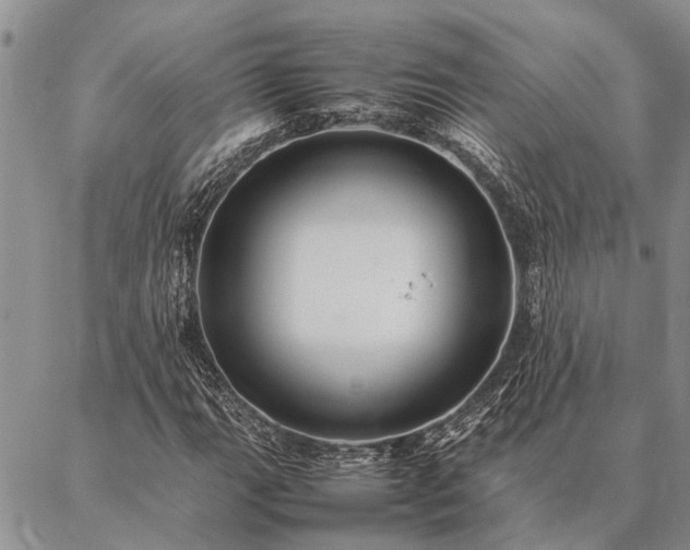 X0000086891111200704231121