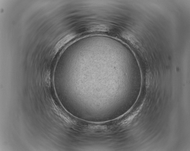 X0000086891113200704231121