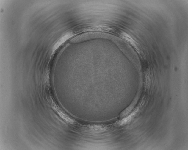 X0000086891114200704231121