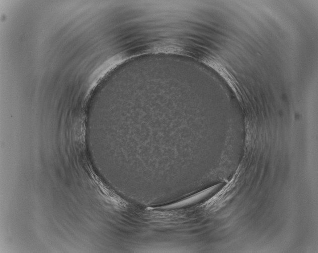 X0000086891115200704231121