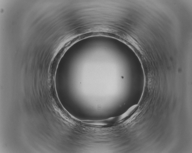 X0000086891116200704231121