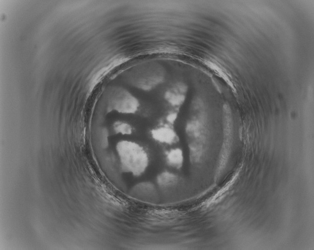 X0000086891117200704231121