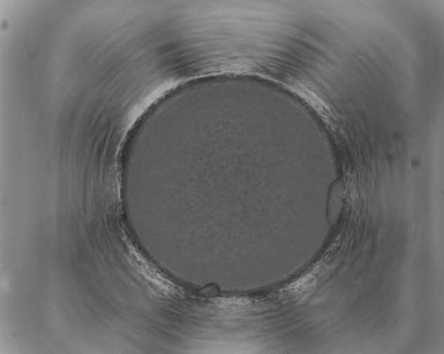 X0000086891118200704231121