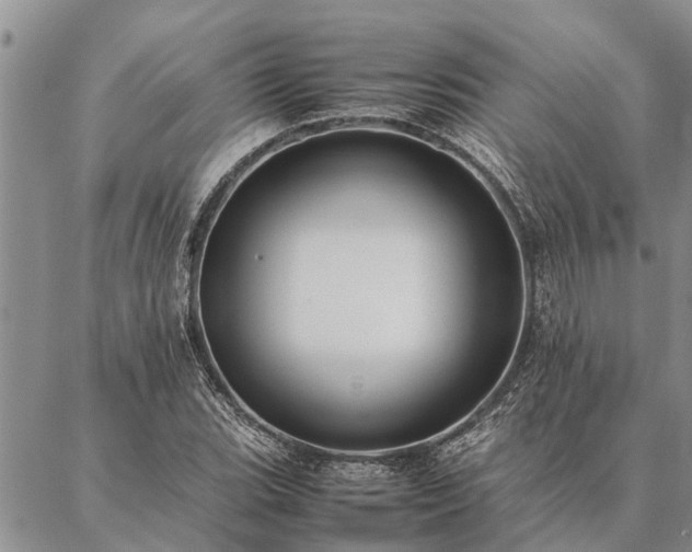 X0000086891119200704231121