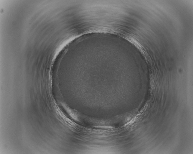 X0000086891120200704231121