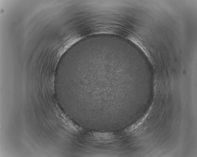 X0000086891121200704231121